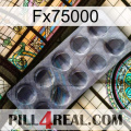 Fx75000 30